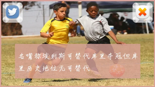 名嘴称埃利斯可替代库里夺冠但库里历史地位无可替代