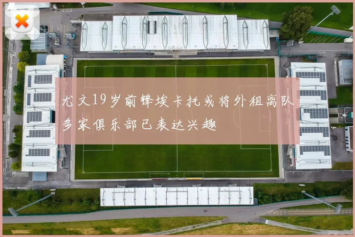 尤文19岁前锋埃卡托或将外租离队多家俱乐部已表达兴趣